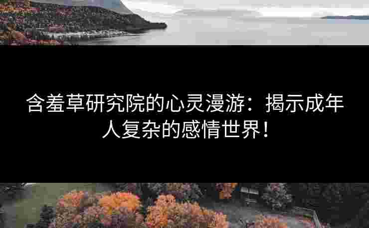 含羞草研究院的心灵漫游：揭示成年人复杂的感情世界！